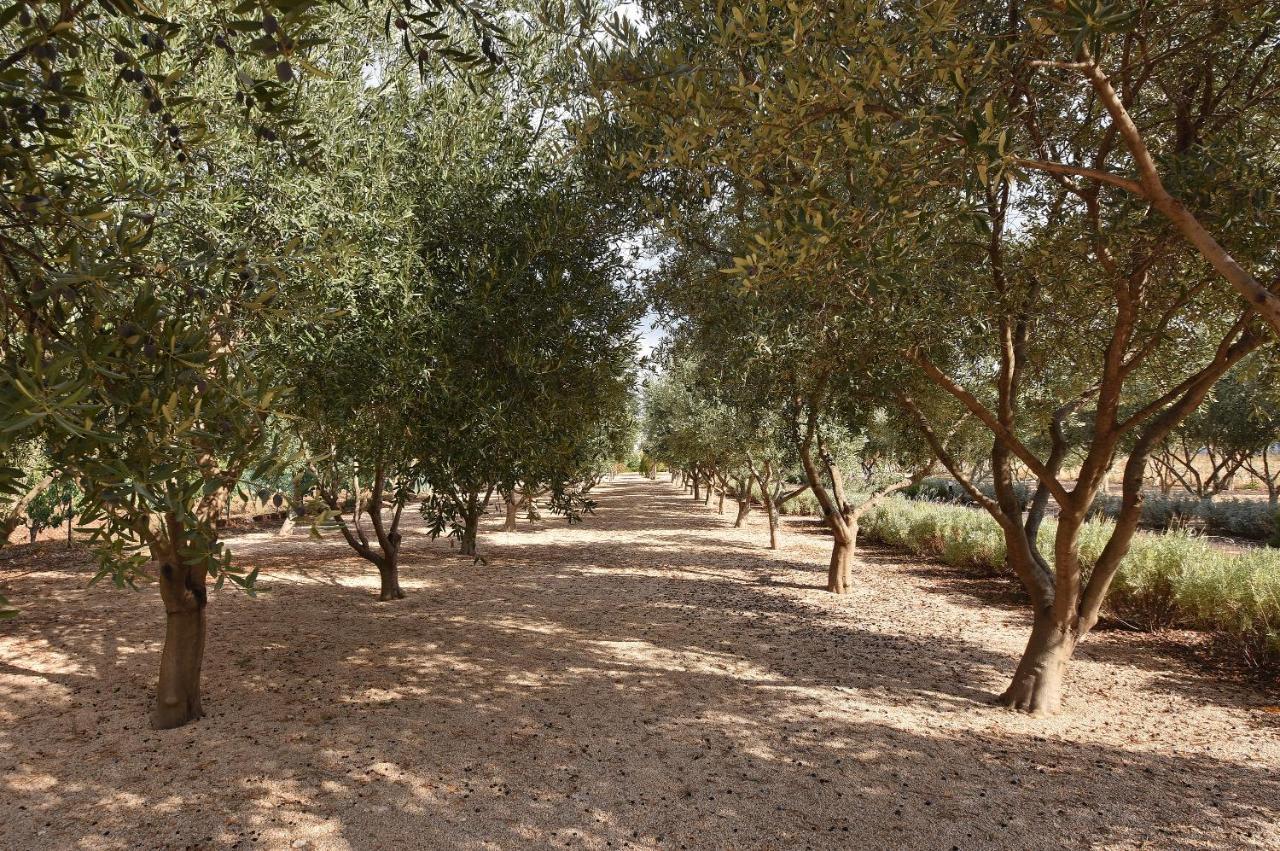Halomot Naftali Hotel Sede Eli'ezer Exterior photo